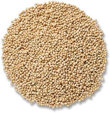 حبوب الدخن Millet