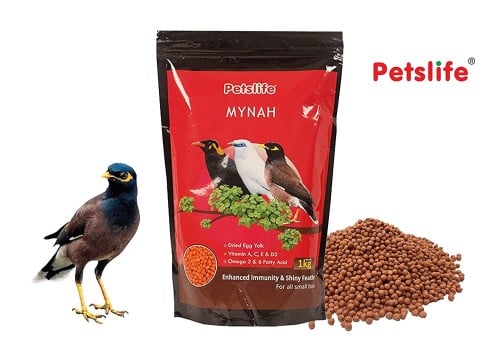 طعام طيور المينا والبلابل من Petslife 400g