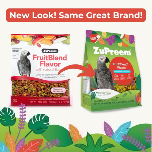 زوبريم ببغاوات متوسطة وكبيرة