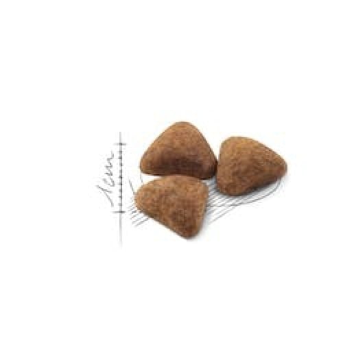 رويال كانين طعام جاف للقطط indoor