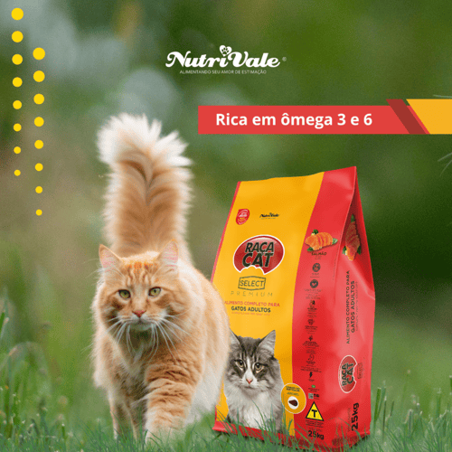 Raca Cat Select راكا طعام للقطط البالغة بريميوم با...