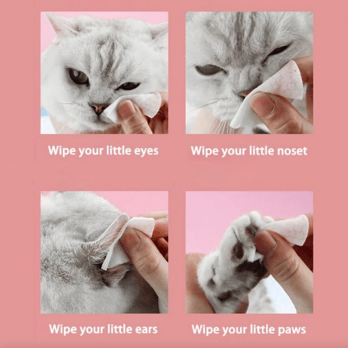 مناديل لتنظيف العيون و الأذن للحيوانات الاليفة