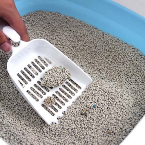 بيست كلين بينتونيت رمل قطط 5 لتر