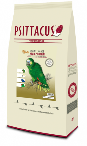 غذاء يومي عالي البروتين