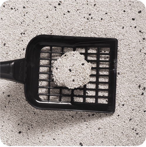 رمل باتي ماكس برائحة بودرة الاطفال 12 لتر