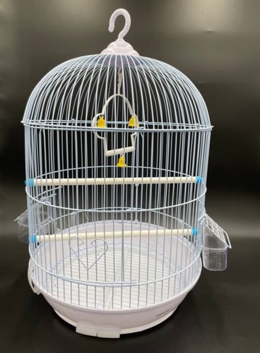 قفص طيور معدني دائري أسود ، ابيض