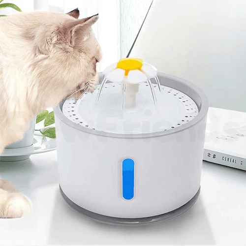 نافورة للقطط والحيوانات الاليفة