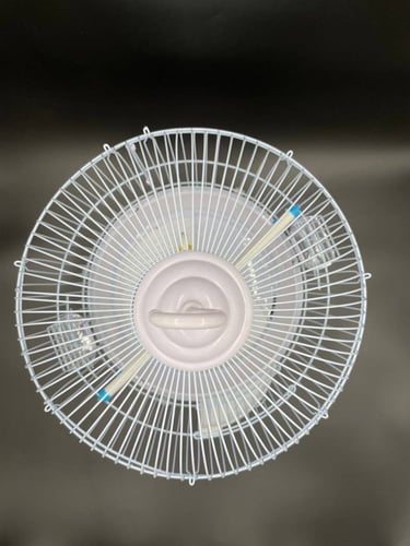 قفص طيور معدني دائري أسود ، ابيض