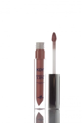 أحمر الشفاه Nude 213