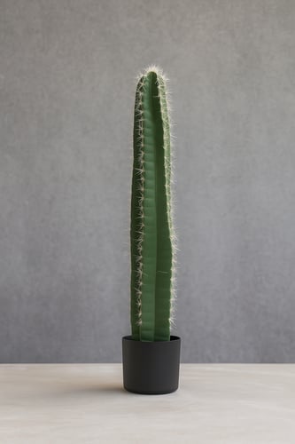 صبار ديكورا – لمسة طبيعية بارتفاع 97 سم