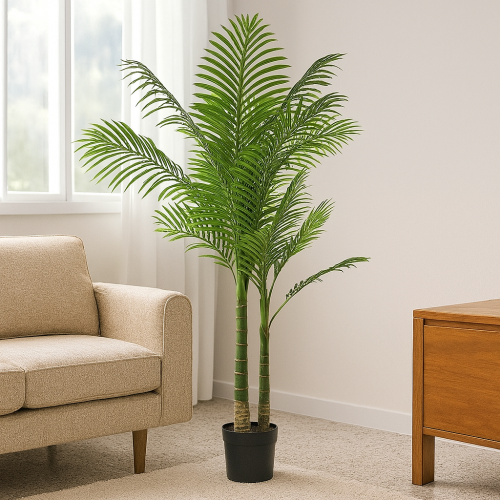 نخلة ليفانا – أناقة خضراء بارتفاع 160 سم