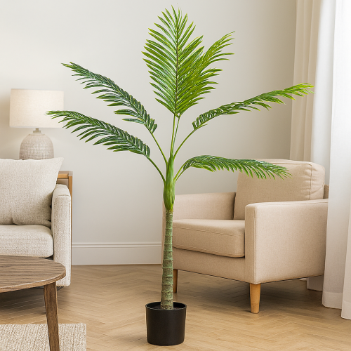 نخلة فيستا – أناقة استوائية بارتفاع 110 سم