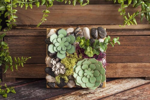 شفرة قص عميق + غطاء متوافق مع cricut