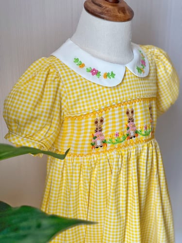 فستان بيتر رابيت