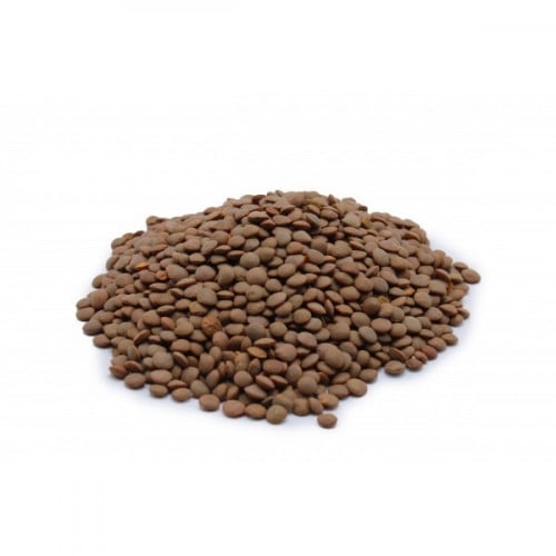 عدس بني حبة صغيرة روسيا 1 كيلو