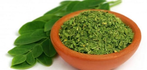 مورينجا بلدي 50 غرام