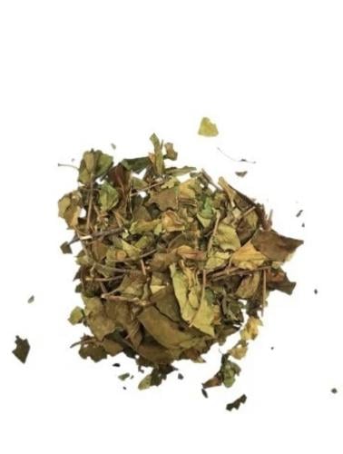 عشبة جيمنيميا 50 غرام