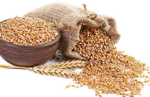 هريس حب 1 كيلو غرام