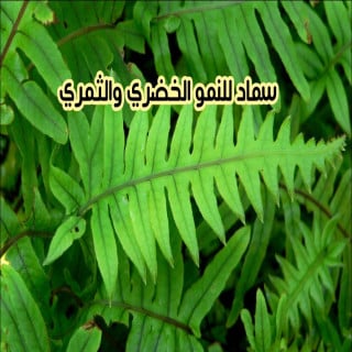 سماد للنمو الخضري والثمري