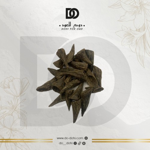 عود قواقع محسن