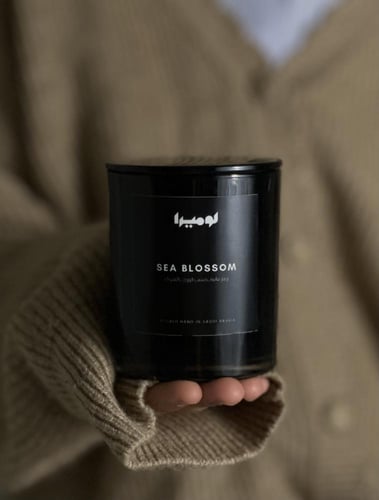 شمعة زهرة البحر