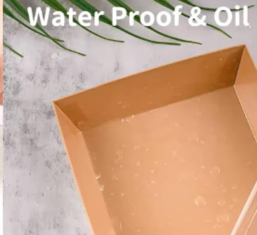 صحون بطبقه عازله