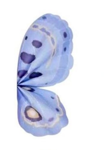 تغاليف ورد فراشه ملون