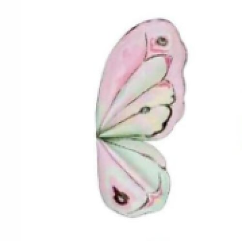 تغاليف ورد فراشه ملون