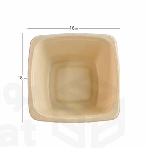 علب سلطة مربعة مصنوعة من قصب السكر الحجم :24 اونص...