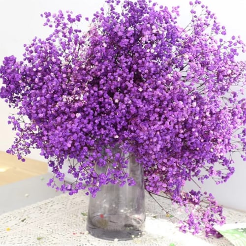 باقه ورد جيبسوفيلا كبيره جداً