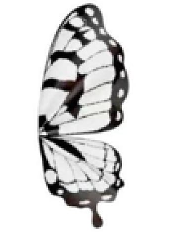 تغاليف ورد فراشه ملون