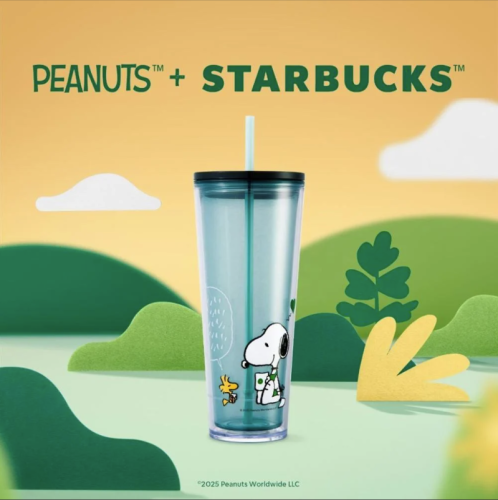 كوب starbucks x peanuts بارد