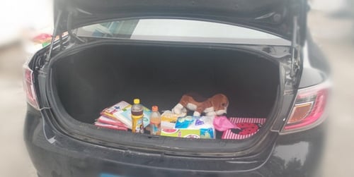 منظم شنطة مقسم كبير