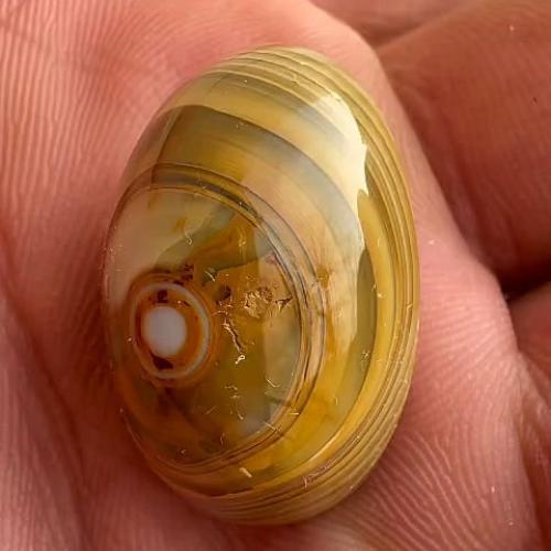 حجر عقيق سليماني هندي طبيعي أطواق حجم كبير