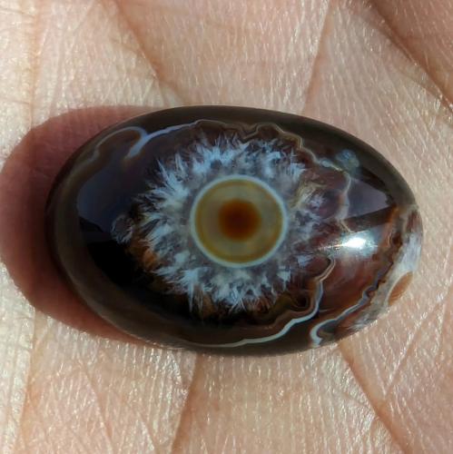 حجر سليماني هندي طبيعي فلور عين برموش داخلها نقطة...