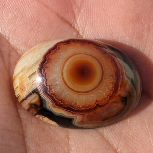 سليماني هندي