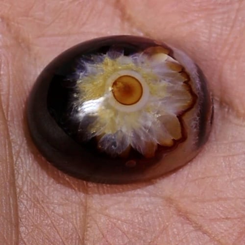 حجر عقيق سليماني هندي طبيعي أسود عين فلور حمراء