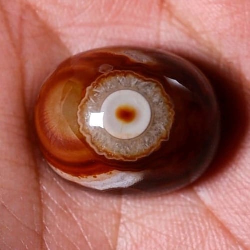 حجر سليماني هندي طبيعي فلور مميز ونادر