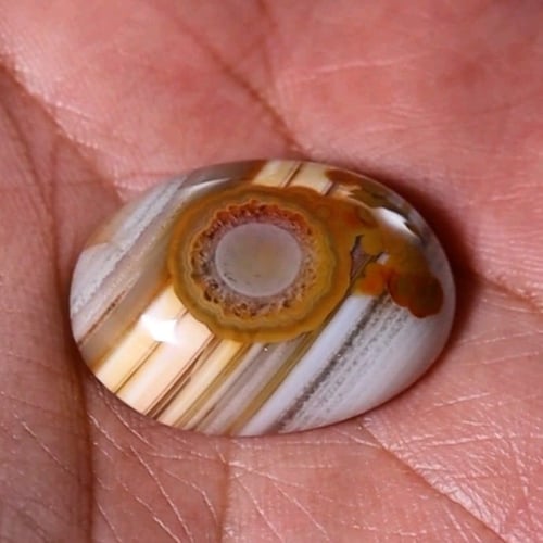 حجر عقيق سليماني هندي أصلي طبيعي فلور عين بيضاء بر...