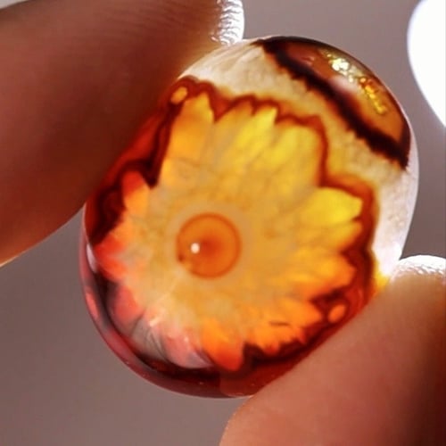 حجر عقيق سليماني هندي طبيعي أسود عين فلور حمراء