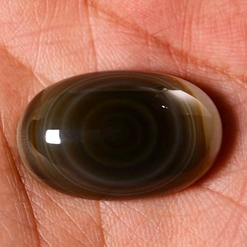 سليماني هندي زيتي أطواق جميلة