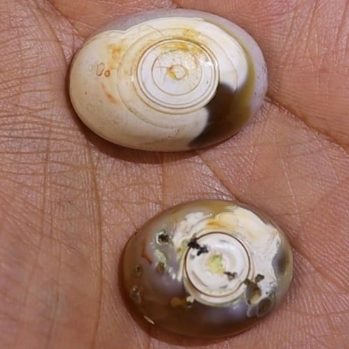 حجر عقيق سليماني هندي طبيعي مطوق أبيض نوادر