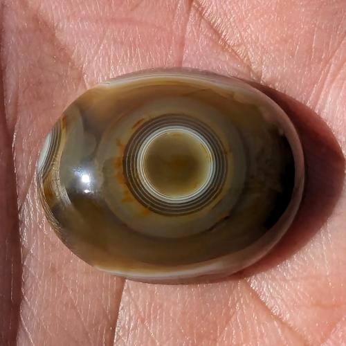 حجر سليماني هندي طبيعي أخضر أطواق عين في المنتصف