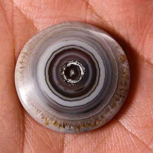 سليماني هندي أطواق من عالم الخيال قطع دائري