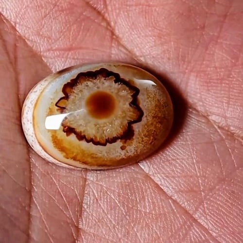 حجر عقيق سليماني هندي طبيعي فلور من النوادر