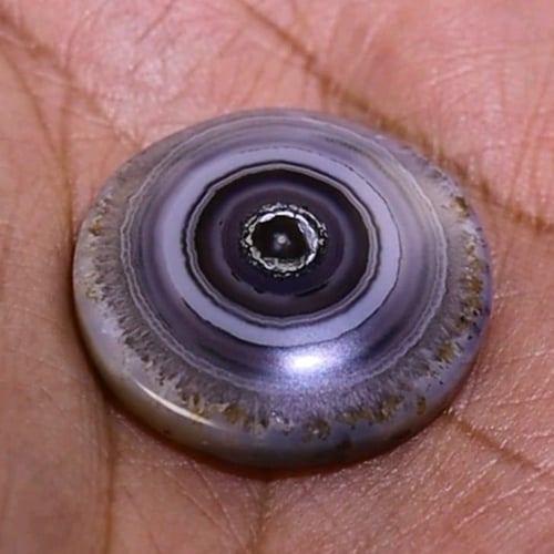 سليماني هندي أطواق من عالم الخيال قطع دائري