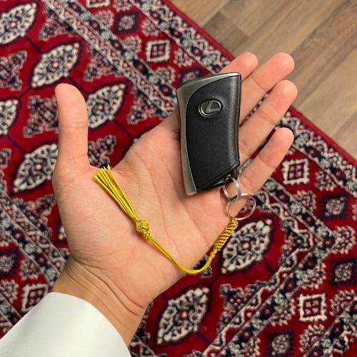 ميدالية شكة