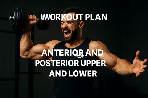 جدول Anterior and posterior U and L