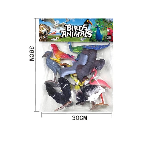 الطيور 10 قطع