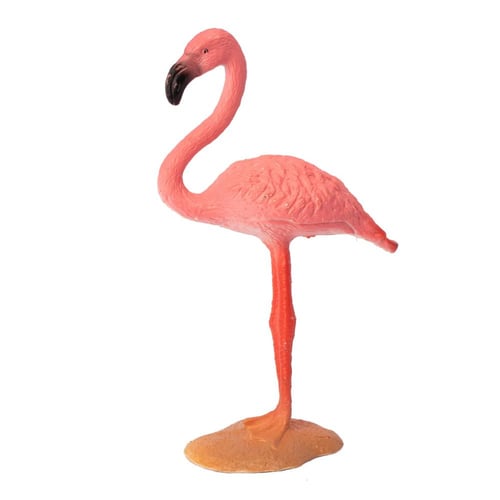 الطيور 10 قطع